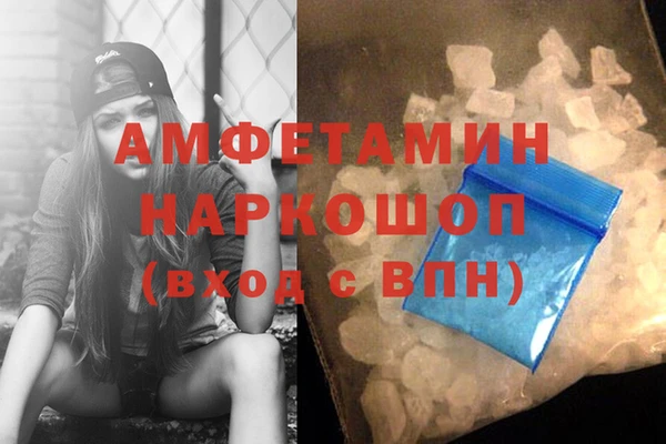 молекула духа Алексин