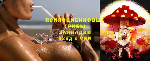 молекула духа Алексин