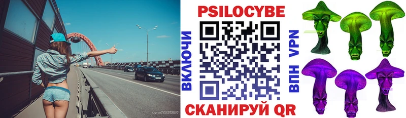 Купить где  Тавда  Галлюциногенные грибы Psilocybe 