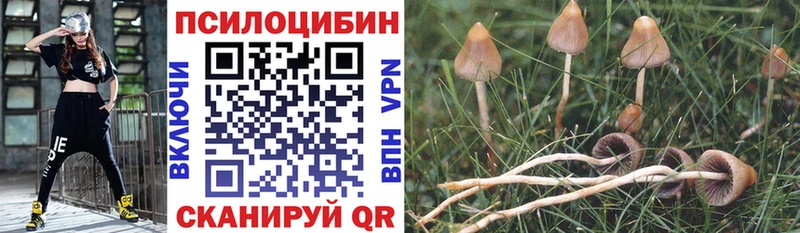 Псилоцибиновые грибы ЛСД Тавда